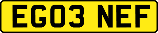EG03NEF