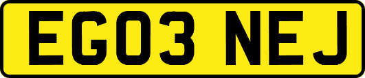 EG03NEJ