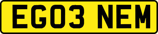 EG03NEM