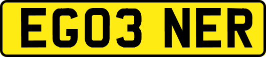 EG03NER