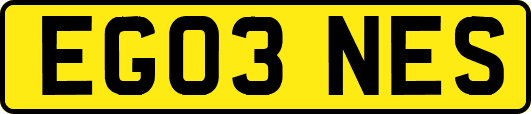 EG03NES