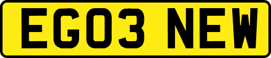 EG03NEW