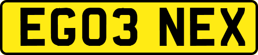 EG03NEX