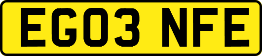 EG03NFE