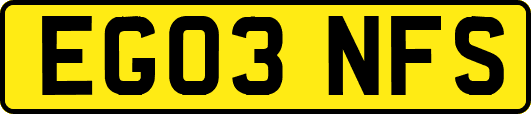 EG03NFS