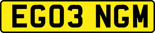 EG03NGM