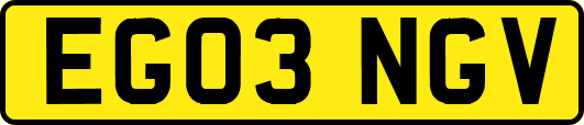EG03NGV