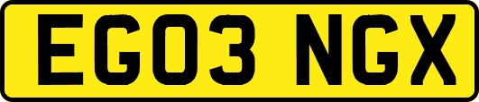 EG03NGX