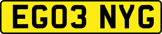 EG03NYG