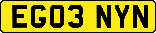 EG03NYN