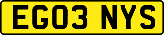 EG03NYS