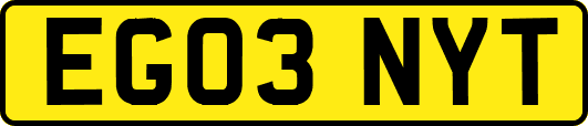 EG03NYT
