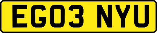 EG03NYU