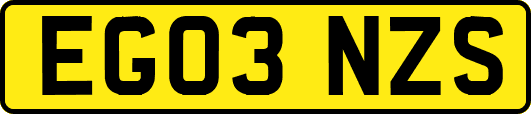 EG03NZS