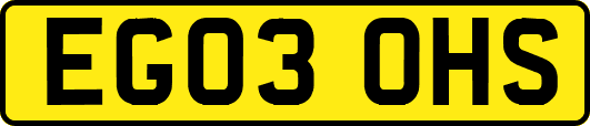 EG03OHS