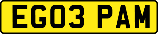 EG03PAM