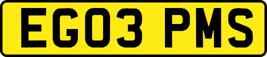 EG03PMS