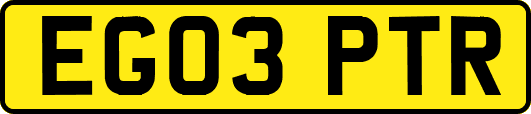 EG03PTR