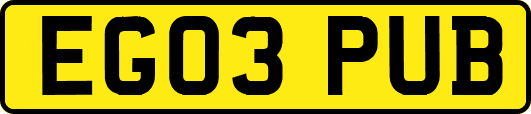 EG03PUB