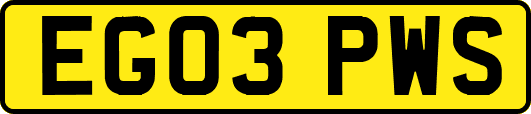 EG03PWS