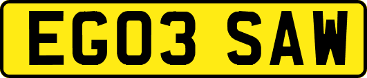 EG03SAW