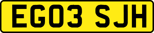 EG03SJH