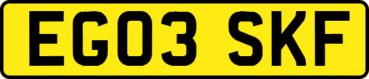 EG03SKF