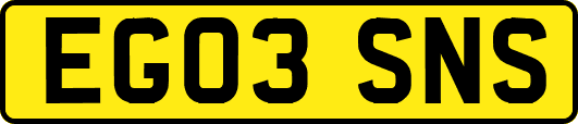 EG03SNS
