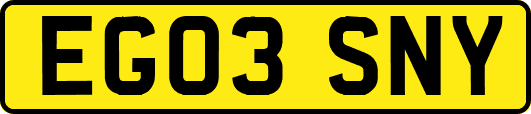 EG03SNY