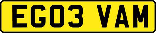 EG03VAM