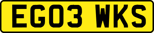EG03WKS