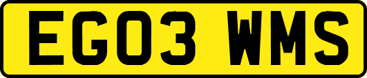 EG03WMS
