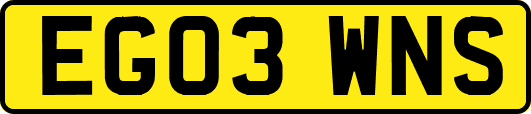 EG03WNS