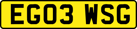 EG03WSG