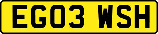 EG03WSH