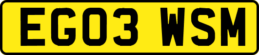 EG03WSM