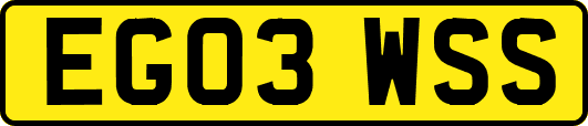 EG03WSS
