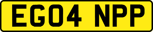 EG04NPP