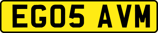 EG05AVM