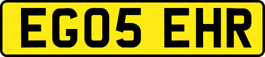 EG05EHR