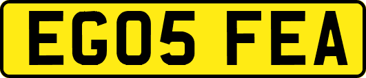 EG05FEA