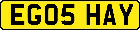 EG05HAY