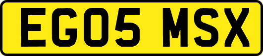 EG05MSX