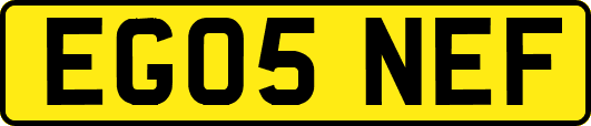 EG05NEF