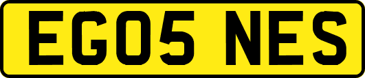 EG05NES