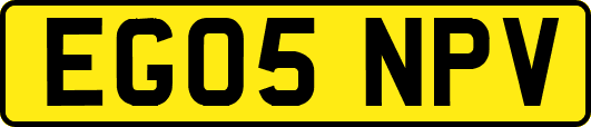 EG05NPV