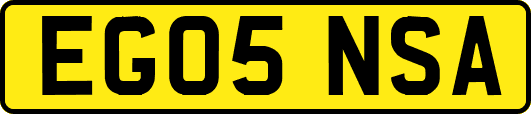 EG05NSA