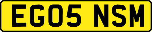 EG05NSM