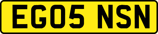 EG05NSN