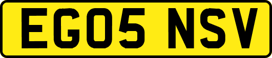 EG05NSV